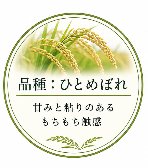 品種：ひとめぼれ
