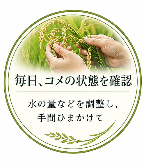 毎日、コメの状態を確認